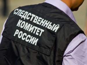 Председатель СК России поручил возбудить уголовное дело по факту хулиганских действий в отношении жителя Свердловской области